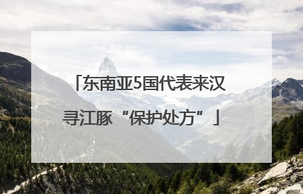 东南亚5国代表来汉寻江豚“保护处方”