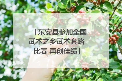 东安县参加全国武术之乡武术套路比赛 再创佳绩