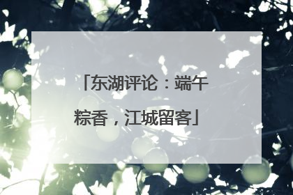东湖评论：端午粽香，江城留客