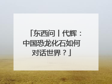 东西问丨代辉：中国恐龙化石如何对话世界？