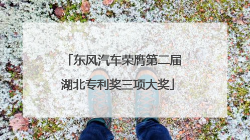 东风汽车荣膺第二届湖北专利奖三项大奖
