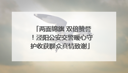 两面锦旗 双倍赞誉！泾阳公安交警暖心守护收获群众真情致谢