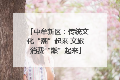 中牟新区：传统文化“潮”起来 文旅消费“燃”起来