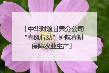 中华财险甘肃分公司“春风行动”护航春耕 保障农业生产