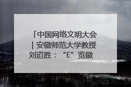中国网络文明大会｜安徽师范大学教授刘道胜：“E”览徽风，构筑中华民族共有精神家园