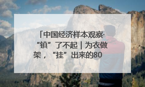 中国经济样本观察·“镇”了不起｜为衣做架，“挂”出来的80亿元“衣架产业”