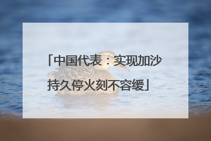 中国代表：实现加沙持久停火刻不容缓