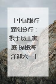 中国银行襄阳分行：携手员工家庭 探秘海洋迎六一