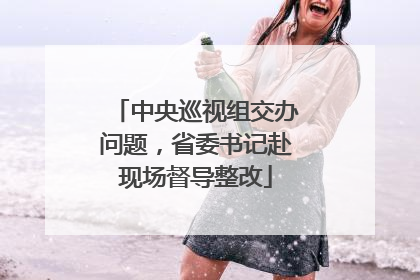 中央巡视组交办问题，省委书记赴现场督导整改