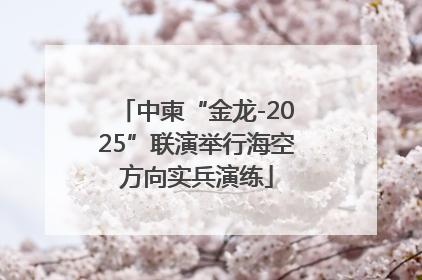 中柬“金龙-2025”联演举行海空方向实兵演练