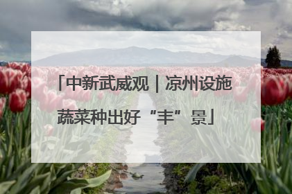 中新武威观｜凉州设施蔬菜种出好“丰”景
