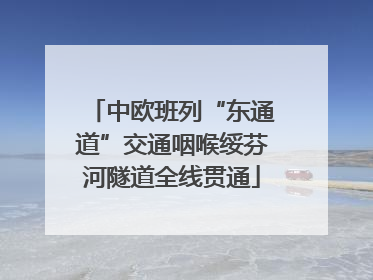 中欧班列“东通道”交通咽喉绥芬河隧道全线贯通
