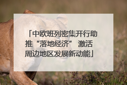 中欧班列密集开行助推“落地经济” 激活周边地区发展新动能