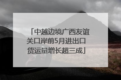 中越边境广西友谊关口岸前5月进出口货运量增长超三成