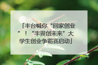 丰台喊你“回家创业”！“丰翼创未来”大学生创业争霸赛启动