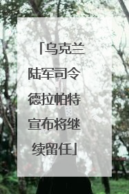 乌克兰陆军司令德拉帕特宣布将继续留任