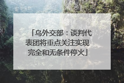 乌外交部：谈判代表团将重点关注实现完全和无条件停火