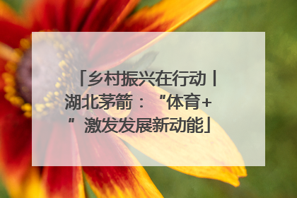 乡村振兴在行动丨湖北茅箭：“体育+”激发发展新动能