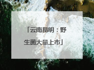 云南昆明：野生菌大量上市
