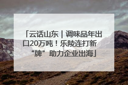 云话山东｜调味品年出口20万吨！乐陵连打新“牌”助力企业出海
