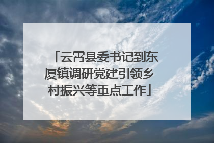 云霄县委书记到东厦镇调研党建引领乡村振兴等重点工作