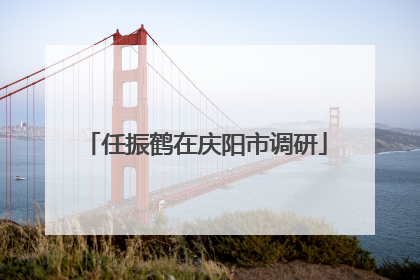 任振鹤在庆阳市调研