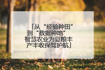 从“经验种田”到“数据种地” 智慧农业为夏粮丰产丰收保驾护航