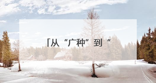 从“广种”到“细管” 关岭枇杷产业的跃升之路