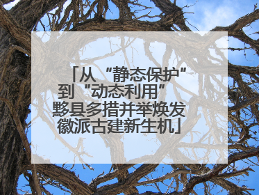 从“静态保护”到“动态利用” 黟县多措并举焕发徽派古建新生机