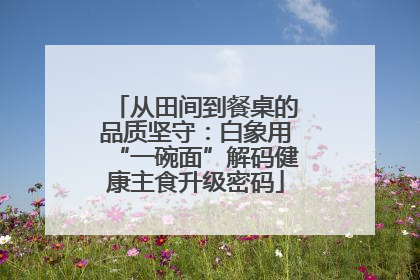 从田间到餐桌的品质坚守：白象用“一碗面”解码健康主食升级密码
