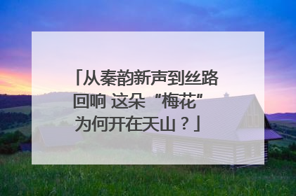 从秦韵新声到丝路回响 这朵“梅花”为何开在天山？