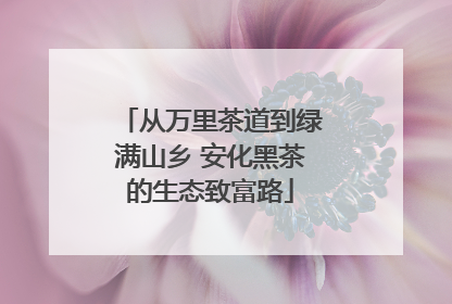 从万里茶道到绿满山乡 安化黑茶的生态致富路