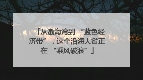 从渤海湾到 “蓝色经济带”，这个沿海大省正在 “乘风破浪”