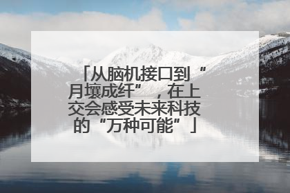 从脑机接口到“月壤成纤”，在上交会感受未来科技的“万种可能”