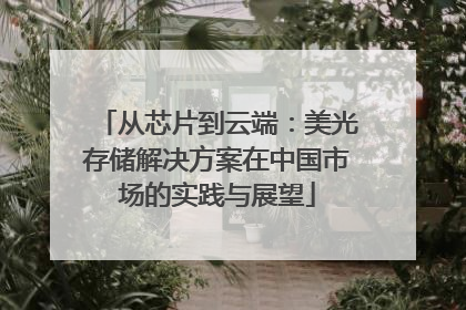 从芯片到云端：美光存储解决方案在中国市场的实践与展望