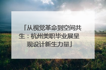 从视觉革命到空间共生：杭州美职毕业展呈现设计新生力量