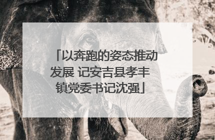 以奔跑的姿态推动发展 记安吉县孝丰镇党委书记沈强