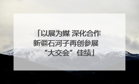 以展为媒 深化合作 新疆石河子再创参展“大交会”佳绩