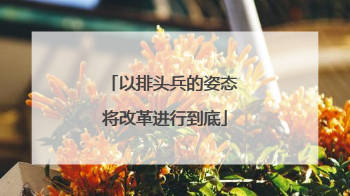 以排头兵的姿态将改革进行到底