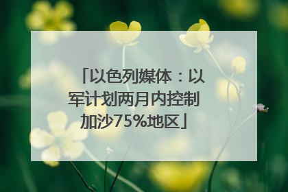 以色列媒体：以军计划两月内控制加沙75%地区