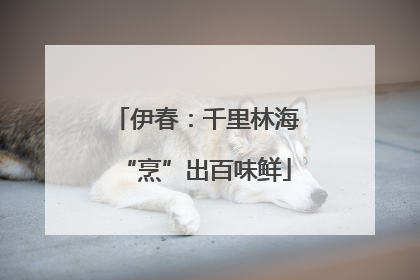 伊春：千里林海“烹”出百味鲜