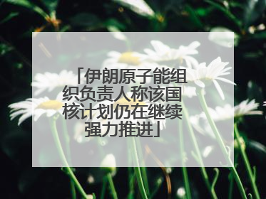 伊朗原子能组织负责人称该国核计划仍在继续强力推进