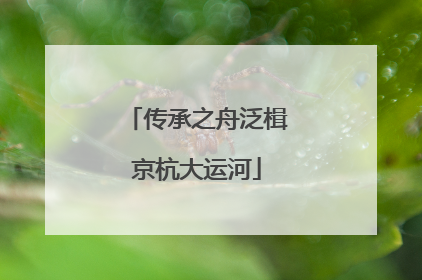 传承之舟泛楫京杭大运河