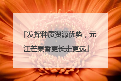 发挥种质资源优势，元江芒果香更长走更远