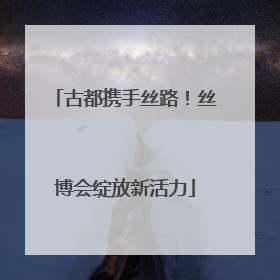 古都携手丝路！丝博会绽放新活力