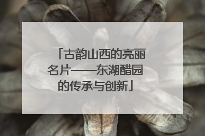 古韵山西的亮丽名片——东湖醋园的传承与创新