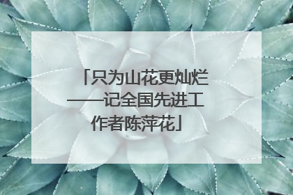 只为山花更灿烂——记全国先进工作者陈萍花