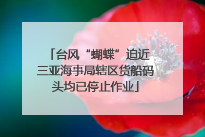 台风“蝴蝶”迫近 三亚海事局辖区货船码头均已停止作业