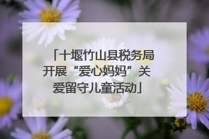 十堰竹山县税务局开展“爱心妈妈”关爱留守儿童活动