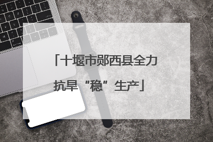 十堰市郧西县全力抗旱“稳”生产